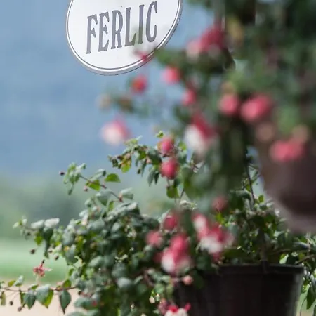 Konukevi Gostilna In Prenocisca Ferlic