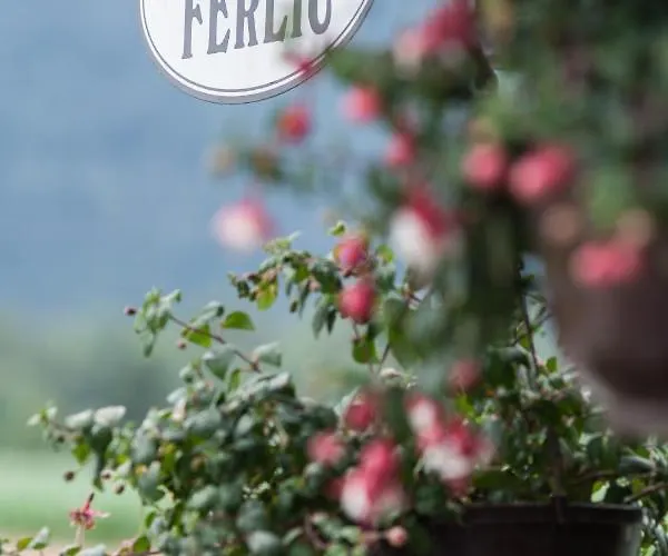 Casa de hóspedes Gostilna In Prenocisca Ferlic